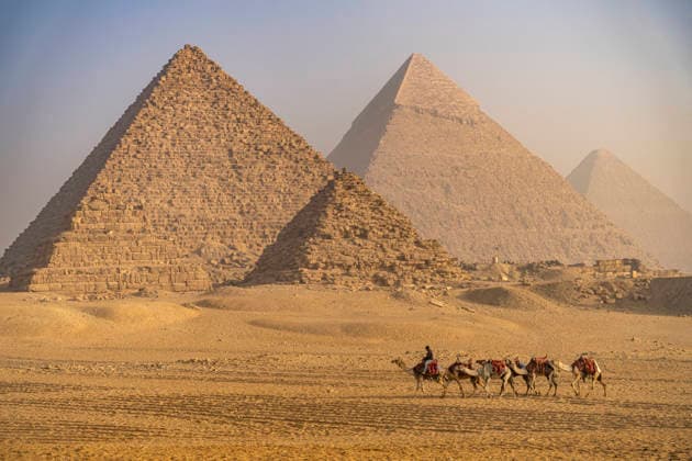 Kamele bei den Pyramiden Kamele in der Wüste bei den Pyramiden von Gizeh, Ägypten, Afrika Camels in the desert at the pyramids in Giza, Egypt, Africa *** Camels at the pyramids Camels in the desert at the pyramids of Giza, Egypt, Africa Camels in the desert at the pyramids in Giza, Egypt, Africa