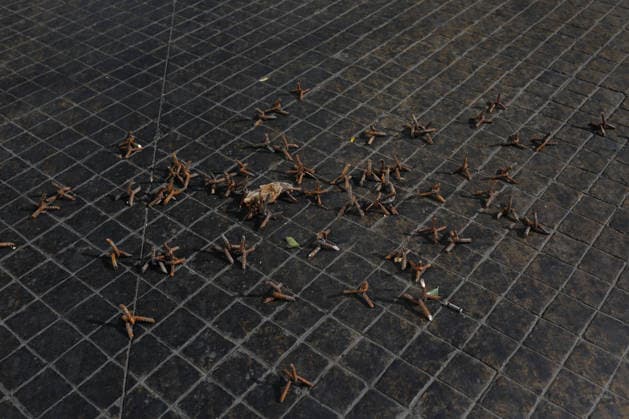 Mexican cartel leader El Mencho killed in military operation GUADALAJARA, JALISCO, MEXICO - FEBRUARY 22: A view of the site where Mexican Army troops killed Nemesio Oseguera Cervantes, known as El Mencho, leader of the Cartel Jalisco Nueva Generacion (Jalisco New Generation), during a federal operation in Guadalajara, Jalisco, Mexico on February 22, 2026. Earlier in the day, armed men blocked several highways in the western state of Jalisco, setting vehicles and trucks on fire in response to the federal security operation in the region Stringer Anadolu Guadalajara Mexico. Editorial use only. Please get in touch for any other usage. Copyright: x2026xAnadoluxStringerx