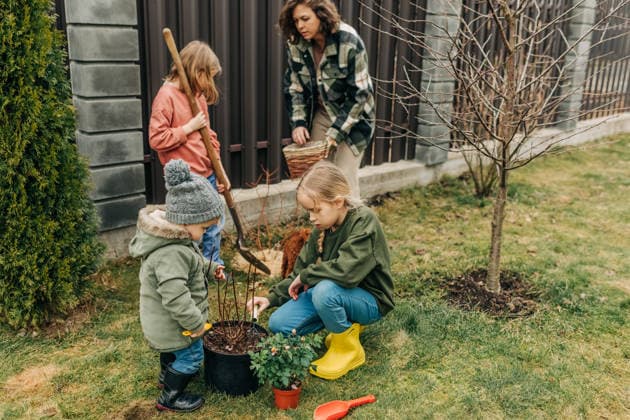 Family and children gardening together in backyard during spring model released, Symbolfoto, NASF00112