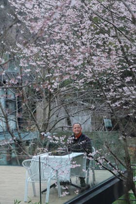 (260225) -- JIANDE, Feb. 25, 2026 -- A tourist views the wild cherry flowers at Qianyuan Village of Sandu Town, Jiande City of east China s Zhejiang Province, on Feb. 25, 2026. Flowers of wild cherry trees which cover a large area in Sandu Town are in full bloom currently, attracting swarms of tourists. ) CHINA-ZHEJIANG-JIANDE-WILD CHERRY FLOWERS-TOURISM (CN) XuxYu 