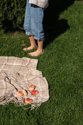 MR_ID32570_23665_PolinaSakharova.jpg A girl standing barefoot on grass near a picnic setup with a blanket and saturn peaches. The setting captures a serene outdoor moment under the sun. Model Released Anastasiya_ID32570_1109709_011 Copyright: xAnastasiyax RECORD DATE NOT STATED