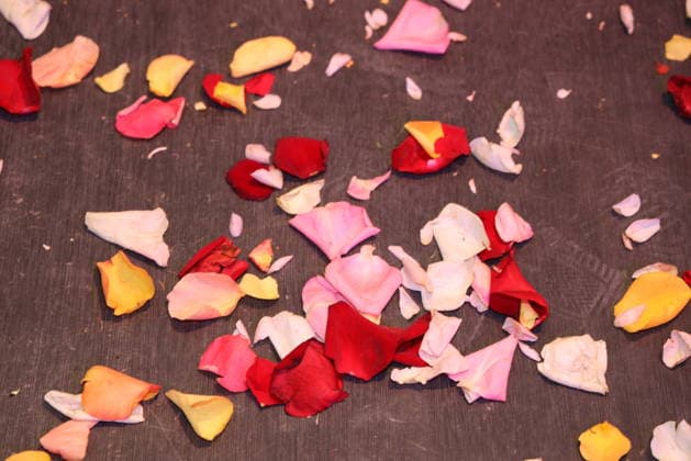 Presentation of the Oskar Kokoschka Prize 2026 Vienna, Angewandte , 26 02 2026 Rose petals