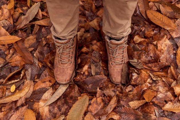 Autumn forest walk through fallen leaves Brown boots stepping through a forest floor covered with crisp autumn leaves, showcasing the earthy tones and textures of nature during this beautiful season. Model Released M-aCreativeStudio_ID33170_1129395_013 Copyright: xMxAxCreativexStudiox RECORD DATE NOT STATED