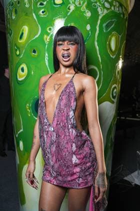 Milan, Milan Women s Fashion Week: Fall Winter 2026 27 - Women s Fashion, Fall Winter 2026 27 - GCDS fashion show - front raw in the photo: guest  Copyright: xRiccardoxGiordanox xipa-agency.netx xRiccardoxGIordanox IPA_Agency_IPA72122693
