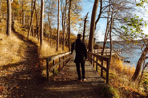 Man Walking on Forest Path with Wooden Railings in Autumn Sunlight Stockholm, Stockholm County, Sweden CR_EDSAHG260225-1973161-01 ,model released, Symbolfoto