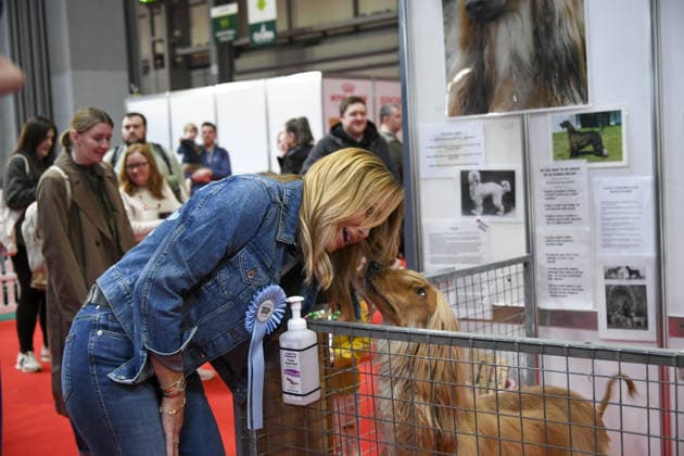 Amanda Holden (Barking Heads) attending the Crufts 2026, 5th March, 2026, National Exhibition Centre, Birmingham, England Amanda Holden (Barking Heads) attending the Crufts 2026, 5th March, 2026, National Exhibition Centre, Birmingham, England Featuring: Amanda Holden (Barking Heads) Where: Birmingham, United Kingdom When: 05 Mar 2026 Credit: Anthony Stanley WENN Birmingham United Kingdom Copyright: xWENNx wenn41013417 ASC ZDSx wenn41013417