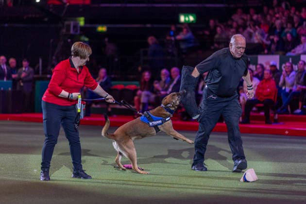 March 5, 2026, Birmingham, West Midlands, UK: Birmingham, UK. West Midlands Police displays a show at the NEC Birmingham venue during the annual Crufts Dog Show. The event, which has been running since 1891, is considered to be the largest show of it s kind in the world. Birmingham UK  - ZUMAl94_ 20260305_zaf_l94_082 Copyright: xMarcinxNowakx