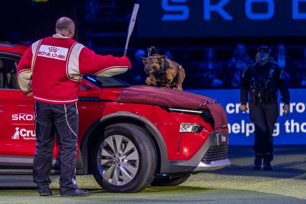 March 5, 2026, Birmingham, West Midlands, UK: Birmingham, UK. West Midlands Police displays a show at the NEC Birmingham venue during the annual Crufts Dog Show. The event, which has been running since 1891, is considered to be the largest show of it s kind in the world. Birmingham UK  - ZUMAl94_ 20260305_zaf_l94_084 Copyright: xMarcinxNowakx