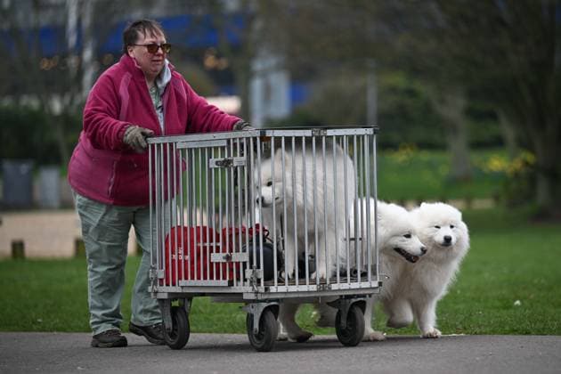 Crufts: The world s largest dog show at NEC Birmingham BIRMINGHAM, UNITED KINGDOM - MARCH 07: Competitions and events continue on the third day of the Crufts dog show at the National Exhibition Centre (NEC) in Birmingham, United Kingdom, on March 07, 2026. Organized annually by The Kennel Club, Crufts is recognized as the world s largest dog show, bringing together thousands of dogs and competitors from across the globe. Rasid Necati Aslim Anadolu Birmingham United Kingdom. Editorial use only. Please get in touch for any other usage.  Copyright: x2026xAnadoluxRasidxNecatixAslimx