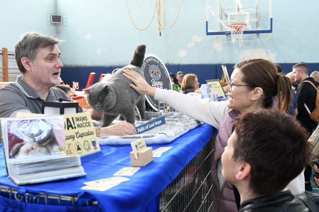 PXL_Cat show An international cat show was held, organized by the Association of Felinological Societies of Croatia in cooperation with the City of Bjelovar. About 50 top cats were presented at the exhibition, including two Supreme champions in Bjelovar, Croatia on 07. March 2026.  DamirxSpehar PIXSELL