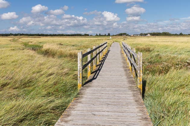 Holzweg durch Salzwiesen mit Brücke über einen Priel bei Sankt Peter-Ording in Nordfriesland Holzweg durch Salzwiesen mit Brücke über einen Priel bei Sankt Peter-Ording in Nordfriesland, Schleswig-Holstein, Deutschland. (License=RF) Copyright: xZoonar.com ThorstenxSchierx 24757846