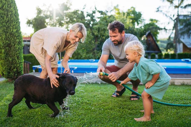 Parents and child cooling dog with water on sunny day. Parents and child cooling dog with water on sunny day. Family pet. model released