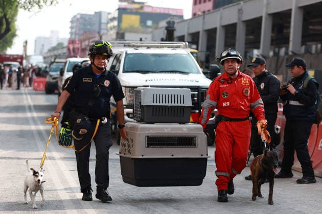 At least one dead, two still trapped after building collapses in Mexico City MEXICO CITY, MEXICO - MARCH 09: Canine search teams arrive at the site of a partially collapsed building that left at least one person dead and two still trapped under the rubble, in Mexico City, Mexico on March 09, 2026. Rescue workers continue searching for people trapped in the building, which was undergoing demolition when the collapse occurred, while army and navy personnel secure the area. Daniel Cardenas Anadolu Mexico City Mexico. Editorial use only. Please get in touch for any other usage.  Copyright: x2026xAnadoluxDanielxCardenasx