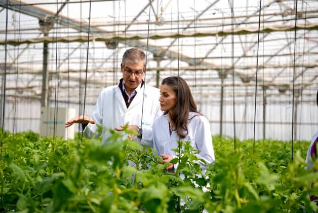 Queen Letizia visits the Cajamar Las Palmerillas Experimental Station in El Ejido for its 50th anniversary Queen Letizia during the visit to the greenhouses for the 50th anniversary of the Cajamar Las Palmerillas Experimental Station March 10, 2026 in El Elejido, Almeria Andalusia, Spain Queen Letizia has visited the Cajamar Las Palmerillas Experimental Station on the occasion of its 50th anniversary The event was attended by the President of the Provincial Council of Almeria, José Antonio García Alcaina, along with other authorities and representatives of Cajamar During the visit, the advances in agricultural innovation, sustainability and biotechnology of the center were highlighted 10 MARCH 2026 Marian Leó Almeria, Andalucia Almeria, An  Copyright: xMarianxLeonx 7354697