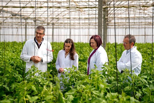 Queen Letizia visits the Cajamar Las Palmerillas Experimental Station in El Ejido for its 50th anniversary Queen Letizia 2i during the visit to the greenhouses for the 50th anniversary of the Cajamar Las Palmerillas Experimental Station March 10, 2026 in El Elejido, Almeria Andalusia, Spain Queen Letizia has visited the Cajamar Las Palmerillas Experimental Station on the occasion of its 50th anniversary The event was attended by the President of the Provincial Council of Almeria, José Antonio García Alcaina, along with other authorities and representatives of Cajamar During the visit, the advances in agricultural innovation, sustainability and biotechnology of the center were highlighted 10 MARCH 2026 Marian Leó Almeria, Andalucia Almeria,  Copyright: xMarianxLeonx 7354701