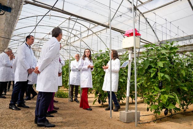 Queen Letizia visits the Cajamar Las Palmerillas Experimental Station in El Ejido for its 50th anniversary Queen Letizia c during the visit to the greenhouses for the 50th anniversary of the Cajamar Las Palmerillas Experimental Station March 10, 2026 in El Elejido, Almeria Andalusia, Spain Queen Letizia has visited the Cajamar Las Palmerillas Experimental Station on the occasion of its 50th anniversary The event was attended by the President of the Provincial Council of Almeria, José Antonio García Alcaina, along with other authorities and representatives of Cajamar During the visit, the advances in agricultural innovation, sustainability and biotechnology of the center were highlighted 10 MARCH 2026 Marian Leó Almeria, Andalucia Almeria,  Copyright: xMarianxLeonx 7354866