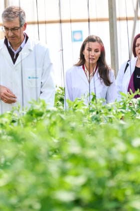 Queen Letizia visits to the Experimental Station for intensive agriculture Las Palmerillas Queen Letizia of Spain attends to the Cajamar Experimental Station for intensive agriculture Las Palmerillas on March 10, 2026 in El Ejido, Spain Photo by IMAGO MPG El Ejido Las Palmerillas Andalucia Spain  Copyright: xMPGx