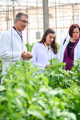 Queen Letizia visits to the Experimental Station for intensive agriculture Las Palmerillas Queen Letizia of Spain attends to the Cajamar Experimental Station for intensive agriculture Las Palmerillas on March 10, 2026 in El Ejido, Spain Photo by IMAGO MPG El Ejido Las Palmerillas Andalucia Spain  Copyright: xMPGx
