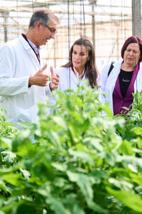 Queen Letizia visits to the Experimental Station for intensive agriculture Las Palmerillas Queen Letizia of Spain attends to the Cajamar Experimental Station for intensive agriculture Las Palmerillas on March 10, 2026 in El Ejido, Spain Photo by IMAGO MPG El Ejido Las Palmerillas Andalucia Spain  Copyright: xMPGx