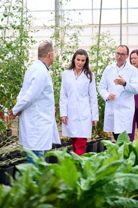 Queen Letizia visits to the Experimental Station for intensive agriculture Las Palmerillas Queen Letizia of Spain attends to the Cajamar Experimental Station for intensive agriculture Las Palmerillas on March 10, 2026 in El Ejido, Spain Photo by IMAGO MPG El Ejido Las Palmerillas Andalucia Spain  Copyright: xMPGx