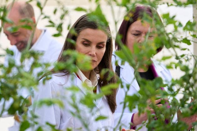 10-03-2026 Queen Letizia during the visit to the greenhouses for the 50th anniversary of the Cajamar Las Palmerillas Experimental Station in El Ejido, Almeria. No Spain Â  Copyright: xPPEx