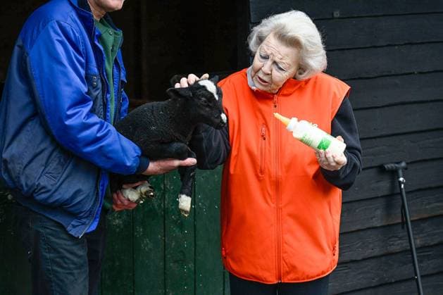 The Netherlands, 2026-03-13 14:46:25 AMSTERDAM, 13-03-2026, Children s Farm. Princess Beatrix participates in a volunteer activity for NLdoet by the Orange Fund. NLdoet is taking place for the 22nd time this year. Princess Beatrix helps care for the animals at a children s farm in Amsterdam. PHOTO: NLBeeld Patrick van Emst Credit: NL Beeld Patrick van Emst  Copyright: xx x