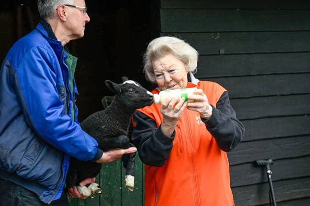 The Netherlands, 2026-03-13 14:46:34 AMSTERDAM, 13-03-2026, Children s Farm. Princess Beatrix participates in a volunteer activity for NLdoet by the Orange Fund. NLdoet is taking place for the 22nd time this year. Princess Beatrix helps care for the animals at a children s farm in Amsterdam. PHOTO: NLBeeld Patrick van Emst Credit: NL Beeld Patrick van Emst  Copyright: xx x