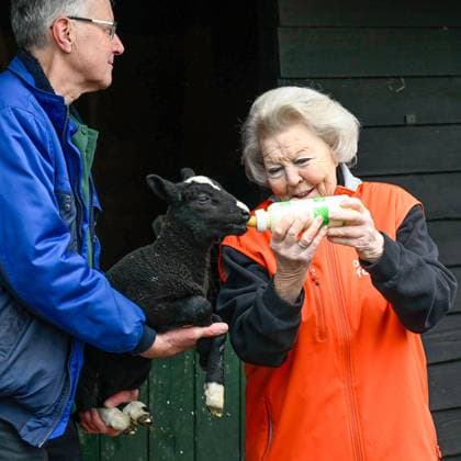The Netherlands, 2026-03-13 14:46:34 AMSTERDAM, 13-03-2026, Children s Farm. Princess Beatrix participates in a volunteer activity for NLdoet by the Orange Fund. NLdoet is taking place for the 22nd time this year. Princess Beatrix helps care for the animals at a children s farm in Amsterdam. PHOTO: NLBeeld Patrick van Emst Credit: NL Beeld Patrick van Emst  Copyright: xx x