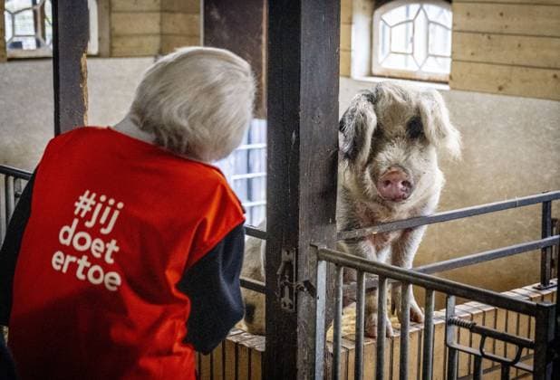 AMSTERDAM - Princess Beatrix at a petting zoo. The princess got to work here as part of the annual volunteer campaign NLdoet of the Orange Fund. ROBIN UTRECHT ANP netherlands out - belgium out  Copyright: xx x553225538x originalFilename: 553225538.jpg