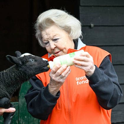 13-03-2026 Amsterdam Princess Beatrix voluntering for NLDoet at a petting zoo in Amsterdam. Â  Copyright: xPPEx