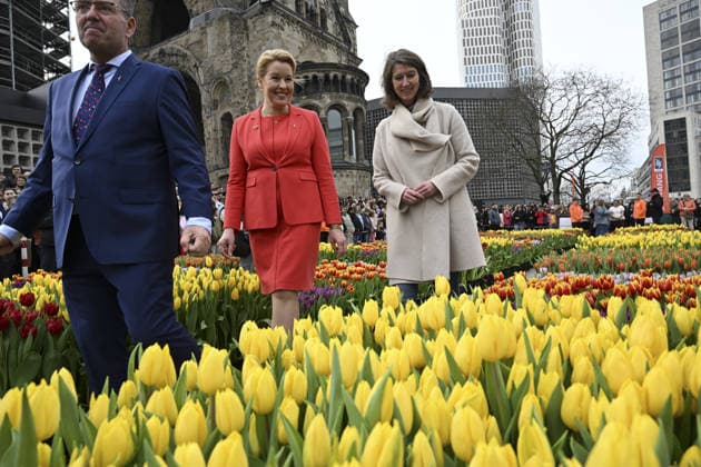 50.000 tulips distributed from tulip garden set up at Berlin’s Breitscheidplatz BERLIN, GERMANY - MARCH 14: People gather to pick tulips from a temporary tulip garden set up during Tulip Day at Breitscheidplatz in Berlin, Germany on March 14, 2026. Around 50.000 tulips were distributed to visitors during the event, which symbolized the arrival of spring and created a colorful display in the square. Halil Sagirkaya Anadolu Berlin Germany. Editorial use only. Please get in touch for any other usage.  Copyright: x2026xAnadoluxHalilxSagirkayax