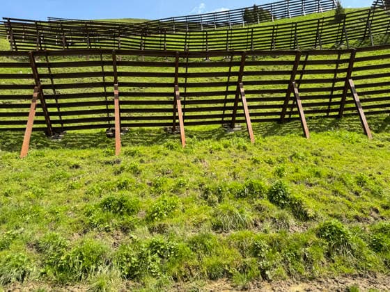 Saftig grüne Bergwiesen mit Lawinenschutzzäunen unter blauem Himmel im Sommer im Vorarlberg, Österreich *** juicy green Mountain meadows with Avalanche protection fences at blue Sky at Summer at Vorarlberg, Austria 1088820549