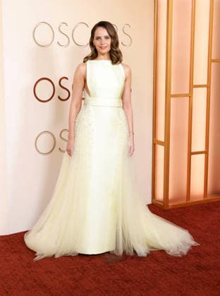 Felicity Jones arrives on the red carpet for the 98th annual Academy Awards in the Hollywood section of Los Angeles on Sunday, March 15, 2026. Conan O Brien will host the Oscars for the second consecutive year.  LAP20260315448 JOHNxANGELILLO