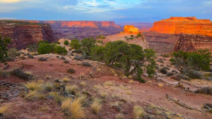 Creative Highlights World Canyonlands National Park offers vast landscapes with colorful rock formations at sunset in Utah, USA Copyright: GeraintxTellem 1365-1547