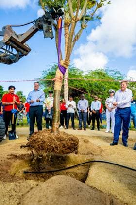 ORANJESTAD - King Willem-Alexander plants a native tree during a visit to the Urban Pocket Park on LG Smith Boulevard, where he spoke about regeneration and urban greenery. The King paid a working visit to Aruba to attend the ceremonies surrounding the celebration of 40 years of Status Aparte and 50 years of the flag and national anthem. MISCHA SCHOEMAKER ANP netherlands out - belgium out  Copyright: xx x553753391x originalFilename: 553753391.jpg