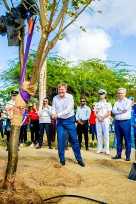ORANJESTAD - King Willem-Alexander plants a native tree during a visit to the Urban Pocket Park on LG Smith Boulevard, where he spoke about regeneration and urban greenery. The King paid a working visit to Aruba to attend the ceremonies surrounding the celebration of 40 years of Status Aparte and 50 years of the flag and national anthem. MISCHA SCHOEMAKER ANP netherlands out - belgium out  Copyright: xx x553753397x originalFilename: 553753397.jpg