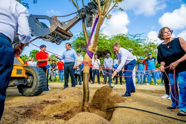 ORANJESTAD - King Willem-Alexander plants a native tree during a visit to the Urban Pocket Park on LG Smith Boulevard, where he spoke about regeneration and urban greenery. The King paid a working visit to Aruba to attend the ceremonies surrounding the celebration of 40 years of Status Aparte and 50 years of the flag and national anthem. MISCHA SCHOEMAKER ANP netherlands out - belgium out  Copyright: xx x553753404x originalFilename: 553753404.jpg