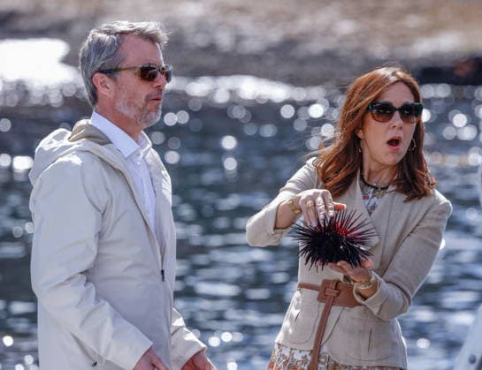 DENMARK ROYALS AUSTRALIA VISIT, King Frederik X of Denmark and Queen Mary of Denmark aboard the Institute for Marine and Antarctic Studies (IMAS) vessel to view the kelp conservation forest at the Alum Cliffs Marine Reserve in Hobart, Tasmania, Thursday, March 19, 2026. Denmark s King Frederik X and Queen Mary are on a five-day state visit to Australia. ( NO ARCHIVING HOBART TASMANIA AUSTRALIA  Copyright: xROBxBLAKERSx 20260319133901121905