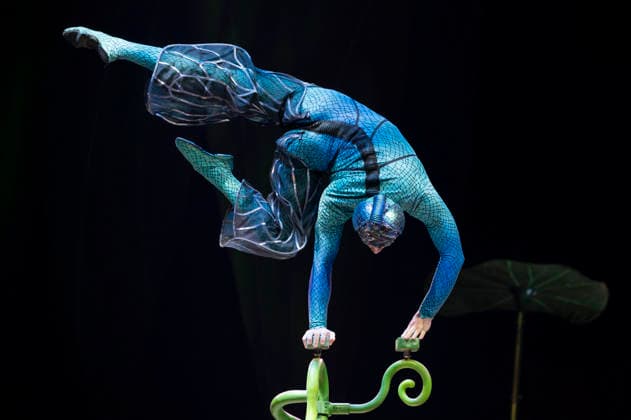 Cirque du Soleil - OVO (FOR EDITORIAL USE ONLY) Artists perform during the Cirque Du Soleil OVO show at the Movistar Arena in Madrid, March 19, 2026 in Spain. Madrid Spain Copyright: xAtilanoxGarciax xSOPAxImagesx photos09430