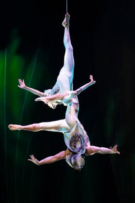 Cirque du Soleil - OVO (FOR EDITORIAL USE ONLY) Artists perform during the Cirque Du Soleil OVO show at the Movistar Arena in Madrid, March 19, 2026 in Spain. Madrid Spain Copyright: xAtilanoxGarciax xSOPAxImagesx photos09460