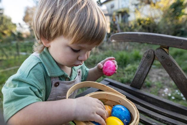 Child collecting painted Easter eggs in a basket during outdoor egg hunt model released, Symbolfoto, Mainy RLP Germany ALPF00109