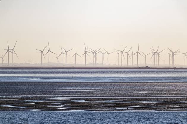 Windkraftanlagen an der Küste bei ruhigem Meer und sanftem Morgenlicht, Wattenmeer zwischen Dagebüll und Föhr, Nordfriesland, Schleswig-Holstein, Deutschland Wind turbines on the coast with calm sea and soft morning light, Wadden Sea between Dagebüll and Föhr, North Frisia, Schleswig-Holstein, Germany Copyright: imageBROKER bildbaendiger ibxidk17118475.jpg