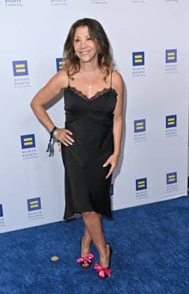 Human Rights Campaign Los Angeles Dinner Cheri Oteri arriving at the Human Rights Campaign Los Angeles Dinner held at the Fairmont Century Plaza on March 28, 2026 in Century City, CA. Century City Fairmont Century Plaza California USA Copyright: xLeexWattx xAFF-USA.COMx