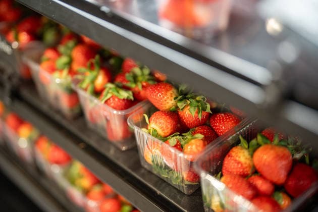 Frische rote Erdbeeren, verpackt in Plastikbehältern und zur Lagerung in Kühlregalen ausgestellt. Frische rote Erdbeeren, verpackt in Plastikbehältern und zur Lagerung in Kühlregalen ausgestellt. (License=RF) Copyright: xZoonar.com DmitriixMarchenkox 24840584