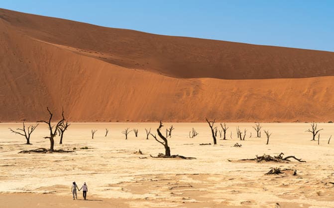 Ancient trees and dune in Deadvlei, Sossusvlei Namibia Sossusvlei, Hardap Region, Namibia CR_CYCY260328A-1987449-01