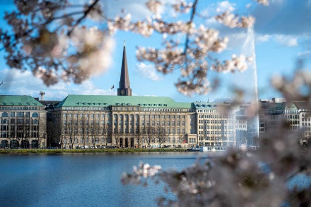 Deutschland, Hamburg, 01.04.2026: Kirschblüten blühen am Ufer der Hamburger Binnenalster und Rahmen die Zentrale der Hamburger Reederei Hapag Lloyd malerisch ein. Kirschblüte an der Hamburger Binnenalster *** Germany, Hamburg, 01 04 2026 Cherry blossoms bloom on the banks of the Hamburg Binnenalster and frame the headquarters of the Hamburg shipping company Hapag Lloyd picturesquely Cherry blossom on the Hamburg Binnenalster