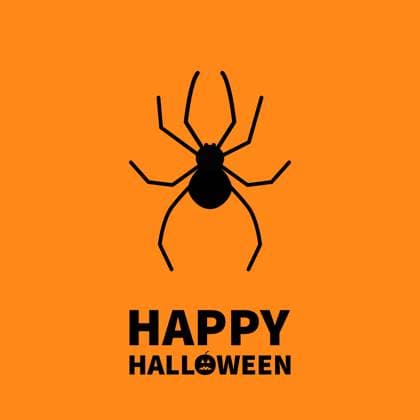 Cute Cartoon Black Spider Insect Happy Halloween Cute cartoon black spider insect Happy Halloween greeting card Flat design Orange background Copyright: xWorldofvectorx