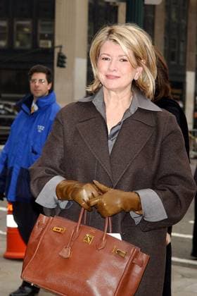 MARTHA STEWART TRIAL AR Feb. 20, 2004 - K35706AR.MARTHA STEWART TRIAL ARRIVALS TO THE US FEDERAL COURT, NEW YORK CITY.02 20 2004. ANDREA RENAULT 2004. .MARTHA STEWART Copyright: xAndreaxRenaultx