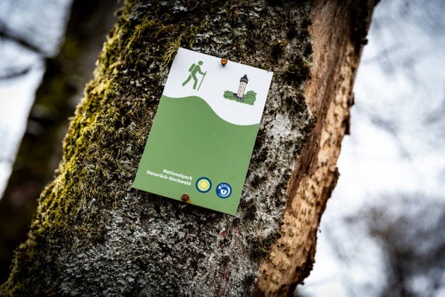 04.04.2026 - Ein Hinweisschild an einem Baum. Impression von einer Wanderung im Nationalpark Hunsrück-Hochwald an der Wildenburg bei Kempfeld (Rheinland-Pfalz). Kempfeld Wildenburg Rheinland-Pfalz Deutschland *** 04 04 2026 A sign on a tree Impression from a hike in the Hunsrück Hochwald National Park at Wildenburg near Kempfeld Rhineland Palatinate Kempfeld Wildenburg Rhineland Palatinate Germany Copyright: xBEAUTIFULxSPORTS RaphaelxSchmittx