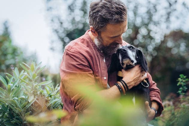 Man hugging senior dog with affection. Man hugging senior dog with affection in garden. model released